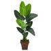 5.5' Travelers Palm Artificial Tree in Brown Planter - 12"