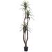 Vickerman 6.5 Artificial Marginata Deluxe Black Plastic Pot