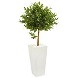 Nearly Natural 4 Olive Topiary Artificial Tree in White Planter UV Resistant (Indoor/Outdoor)