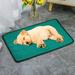 Clearanceï¼�Dog Cooling Mat Dog Self Cooling Pad Dogs Cooling Mat Pet Self Cooling Pad Chill Cool Blanket Summer Hot Weather Sleeping Kennel Mat for Dogs Cats Kennels Crates and Beds