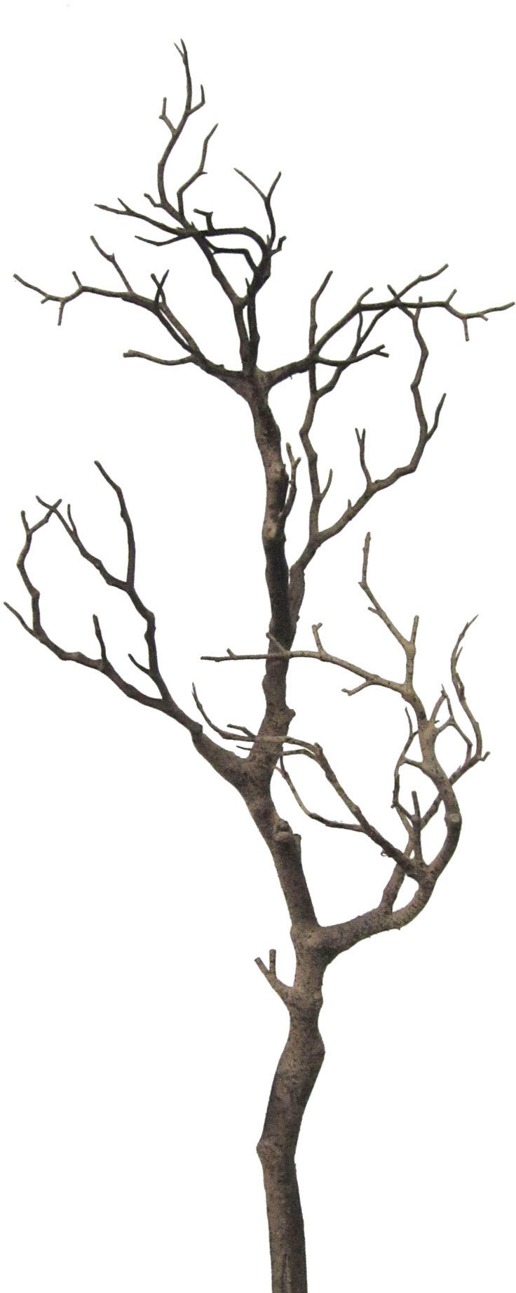 Kunstzweig CREATIV GREEN "Dekoast", braun, H:73cm, Obermaterial: 100% Polyethylen, Kunstpflanzen Image