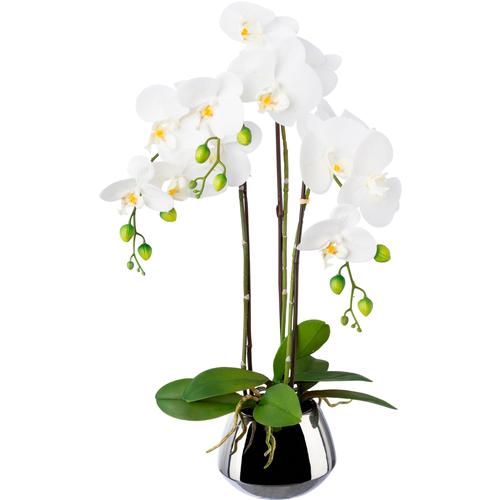 "Kunstorchidee CREATIV GREEN ""Phalaenopsis im Silbertopf"" Kunstpflanzen Gr. H: 55 cm, 1 St., weiß Kunst-Orchideen"
