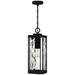 Balchier 1-Light Matte Black Outdoor Hanging Lantern