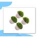 Primrue 4 - Piece Artificial Grass Topiary in Pot Set | 4.9 H x 3.5 W x 3.5 D in | Wayfair 8CA370AA00B24EE6BBDCEB3372D69477