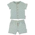 Sterntaler Baby Jungen Set Shirt mit kurzer Hose Set Hemd und kurze Hose Palme - Baby Shorts Shirt Set - aus Baumwolle - mittelgrün, 56