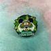 Disney Accessories | Mickey Mouse Official Tour Guide Animal Kingdom Safari Disney Pin | Color: Green/White | Size: Os