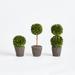 Three Posts™ Swader Centerpiece in Pot Natural Fibers in Green/White | 7.5 H x 3.25 W x 3.25 D in | Wayfair 6EF0DC5A8E96446097390AF5F7CB0807