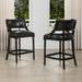 Paris Farmhouse Counter and Bar Stool with Backrest