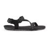Xero Shoes - Z-Trail EV - Barfußschuhe US 11 | EU 44 schwarz