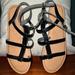 American Eagle Outfitters Shoes | American Eagle Gladiator Sandals - Black | Color: Black/Tan | Size: 7.5