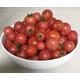 Cherry Tomato Plants - 'Sweet and Neat' - 6 x Plug Plant Pack - Garden Ready + Ready to Plant - Premium Quality Plants