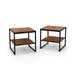 2 Pieces 2-Tier 20 Inch Square End Side Table for Living Room Bedroom-Rustic Brown - 20" x 20" x 20"
