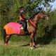 Equisafety Multi Coloured Horse Summer Sheet Pink and Orange - Extra Small Pony