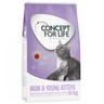 10kg Mum & Young Kittens Mum & Young Kittens Concept for Life Dry Cat Food