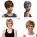 Ediodpoh Natural Light Gray Straight Short Hair Wigs Short Women s Fashion Wig New Wigs for Women Grey_002