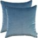 Artcest Set of 2 Cozy Solid Velvet Throw Pillow Case Decorative Couch Cushion