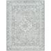 Farai 8'10" x 11'10" Traditional Light Gray/Dark Gray/Neutral/Smoke/Multi Brown Area Rug - Hauteloom