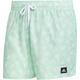 ADIDAS Herren Shorts BOS AOP CLX VSL, Größe S in Grau