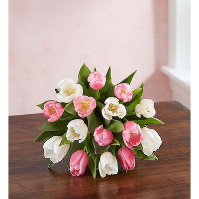 1-800-Flowers Seasonal Gift Delivery Sweet Spring Tulip Bouquet 15 Stems, Bouquet Only