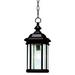 Kirkwood Black Finish 18" High Outdoor Hanging Light