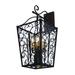 2nd Ave Lighting Lacie 5 - Light Wall Sconce Glass/Metal in Brown | 24 H x 13 W x 15 D in | Wayfair 118522.063U