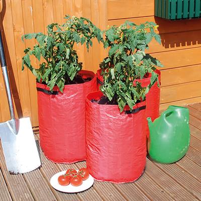 Tomato Grow Bags Pack Of 3