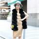 PIKADINGNIS Luxury Faux Fox Fur Vest Coats Women Autumn Winter Thick Warm Faux Fur Coat Korean Slim Sleeveless Plush Jacket Female