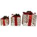 Northlight Seasonal 3 Piece Christmas Gift Box Plastic | 9.75 H x 9.75 W x 9.75 D in | Wayfair NORTHLIGHT Y93948