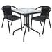 Wildon Home® Wolak Square 2 - Person 23.76" Long Bistro Set Glass/Metal in Black | 23.76 W x 23.75 D in | Outdoor Furniture | Wayfair
