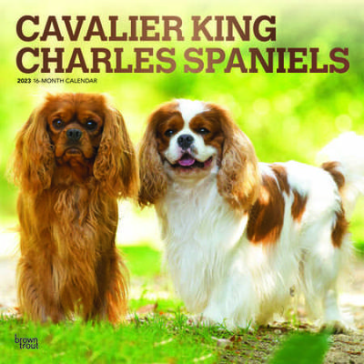 Cavalier King Charles Spaniels 2023 Square Foil