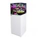 AquaDream 37 Gallon All-In-One Coral Reef Aquarium Tank with Ultra Clear Glass and Built in Sump All White