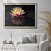 Latitude Run® Photography Study Water Lily - Picture Frame Print on Canvas in Black/Pink/Yellow | 21 H x 25 W x 2.5 D in | Wayfair