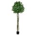 Vickerman 6 Artificial Potted Bay Leaf Topiary