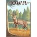 White Tailed Deer Iowa (12x18 Wall Art Poster Room Decor)