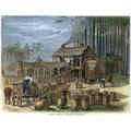 Turpentine Distillery. /Nafrican Americans Working In A Turpentine Distillery In The Pine Woods Of North Carolina. Wood Engraving American