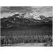 Trees in foreground snow covered mountain in background Long s Peak from North Rocky Mountain National Park Colorado. 1933 - 1942 Poster Print by Ansel Adams (24 x 36)