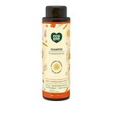 ecoLove - Natural Sulfate Free Shampoo Chemical Free Vegan & Cruelty Free Shampoo Natural Dry Shampoo for Women Organic Carrot and Pumpkin Shampoo No SLS or Parabens 17.6 oz