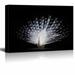 wall26 - Canvas Prints Wall Art - Beautiful White Peacock for Home Art | Modern Wall Decor/Home Decoration Stretched Gallery Canvas Wrap Giclee Print. Ready to Hang - 12 x 18