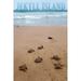 Jekyll Island Georgia Sea Turtles Hatching (24x36 Giclee Gallery Art Print Vivid Textured Wall Decor)