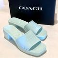 Coach Shoes | Coach Scarlett Rubber Block Heel Sandals Size 10 Sea Mist (Green/Blue) | Color: Blue/Green | Size: 10