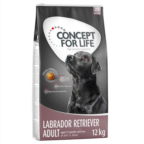 10+2kg gratis! 12kg Labrador Retriever Concept for Life Hundefutter trocken