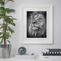 Majestic Male Lion Black & White Fine Art Wall Print - Wildlife, Nature, Animals, Africa, Photograph, Portrait, Decor
