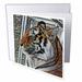 3dRose tiger sitting sketch color Greeting Cards 6 x 6 inches set of 12