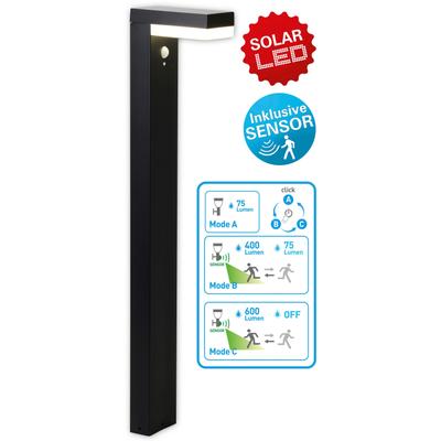 LED Solarleuchte NÄVE "Filius", grau (anthrazit), B:9,50cm H:50,00cm T:16,50cm, Lampen, incl. Bewegungsmelder 90, max. 8