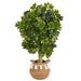 4' Schefflera Artificial Tree in Boho Chic Handmade Natural Cotton Woven Planter with Tassels (Real Touch)