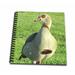 3dRose Egyptian Goose - Mini Notepad 4 by 4-inch