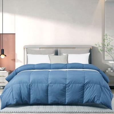 Beautyrest Feather Down Comforter, King, Blue