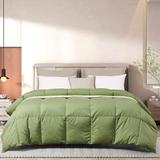 Beautyrest Feather Down Comforter, Full / Queen, Sage