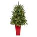 3.5' Potted Snowed Teton Fir Artificial Christmas Tree, Clear Lights - 3.5 Foot