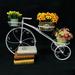 ZhdnBhnos Indoor&Outdoor Tricycle Bicycle Plant Stand Flower Pot Cart Holder Planter Rack Display Shelf Home Garden Patio Decor